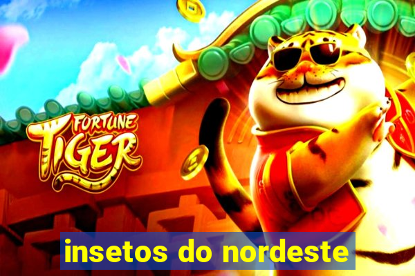 insetos do nordeste